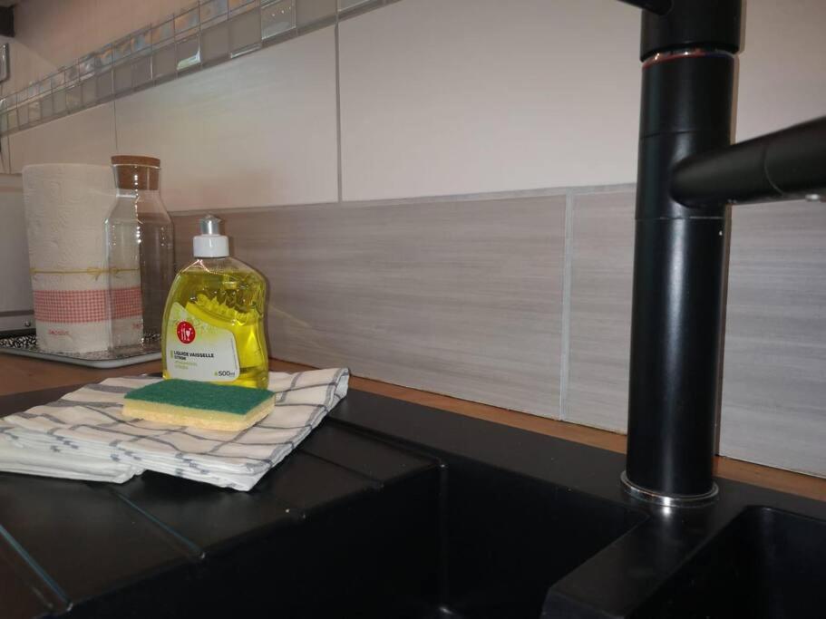 L'Escale - Appartement Spacieux Au Calme ブレスト エクステリア 写真
