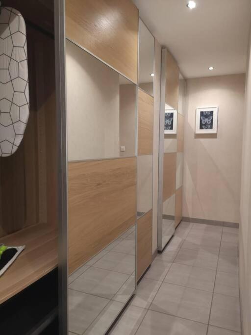 L'Escale - Appartement Spacieux Au Calme ブレスト エクステリア 写真
