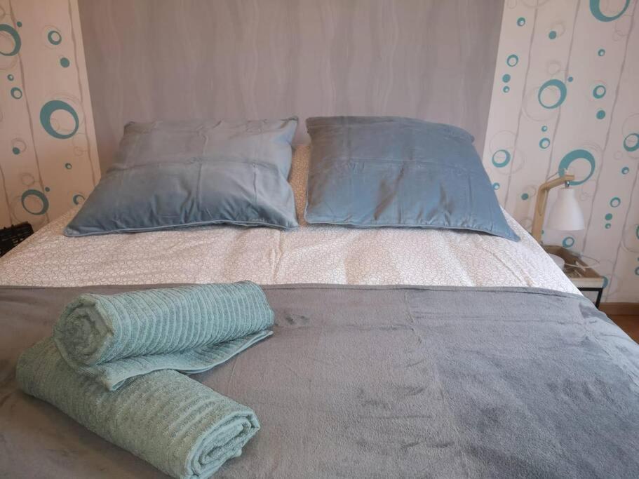 L'Escale - Appartement Spacieux Au Calme ブレスト エクステリア 写真