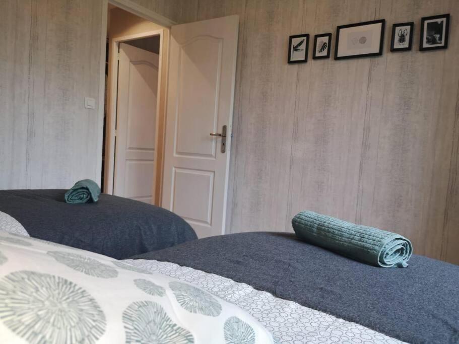 L'Escale - Appartement Spacieux Au Calme ブレスト エクステリア 写真